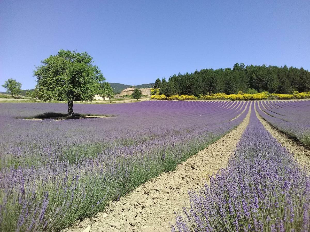 Отель Vvf Drome Provence Монбрен-ле-Бен Экстерьер фото